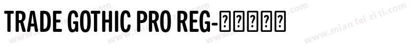 TRADE GOTHIC PRO REG字体转换